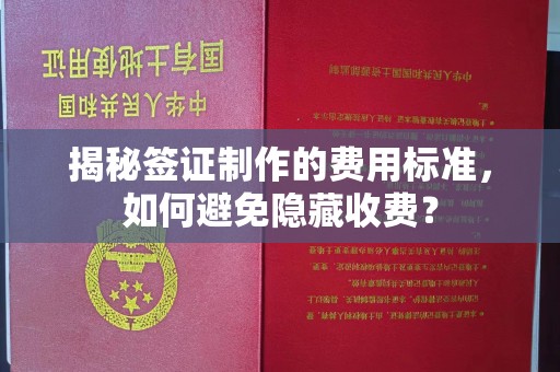 谷城揭秘签证制作的费用标准，如何避免隐藏收费？