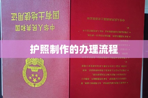 谷城护照制作的办理流程