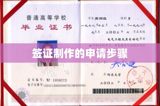 谷城签证制作的申请步骤