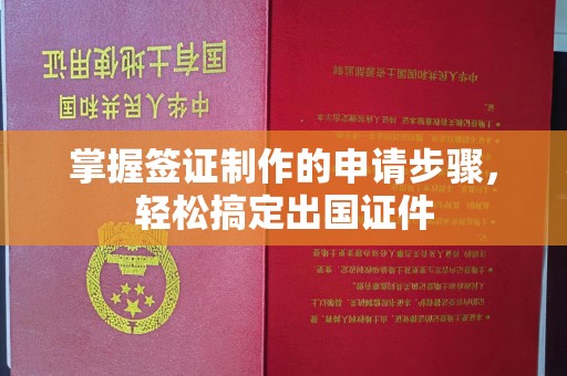 谷城掌握签证制作的申请步骤，轻松搞定出国证件