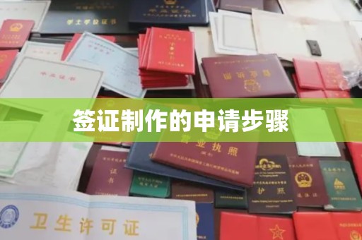 谷城签证制作的申请步骤