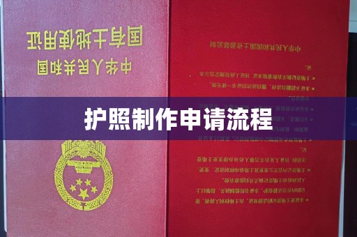 谷城护照制作申请流程