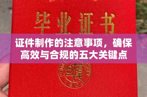 谷城证件制作的注意事项，确保高效与合规的五大关键点